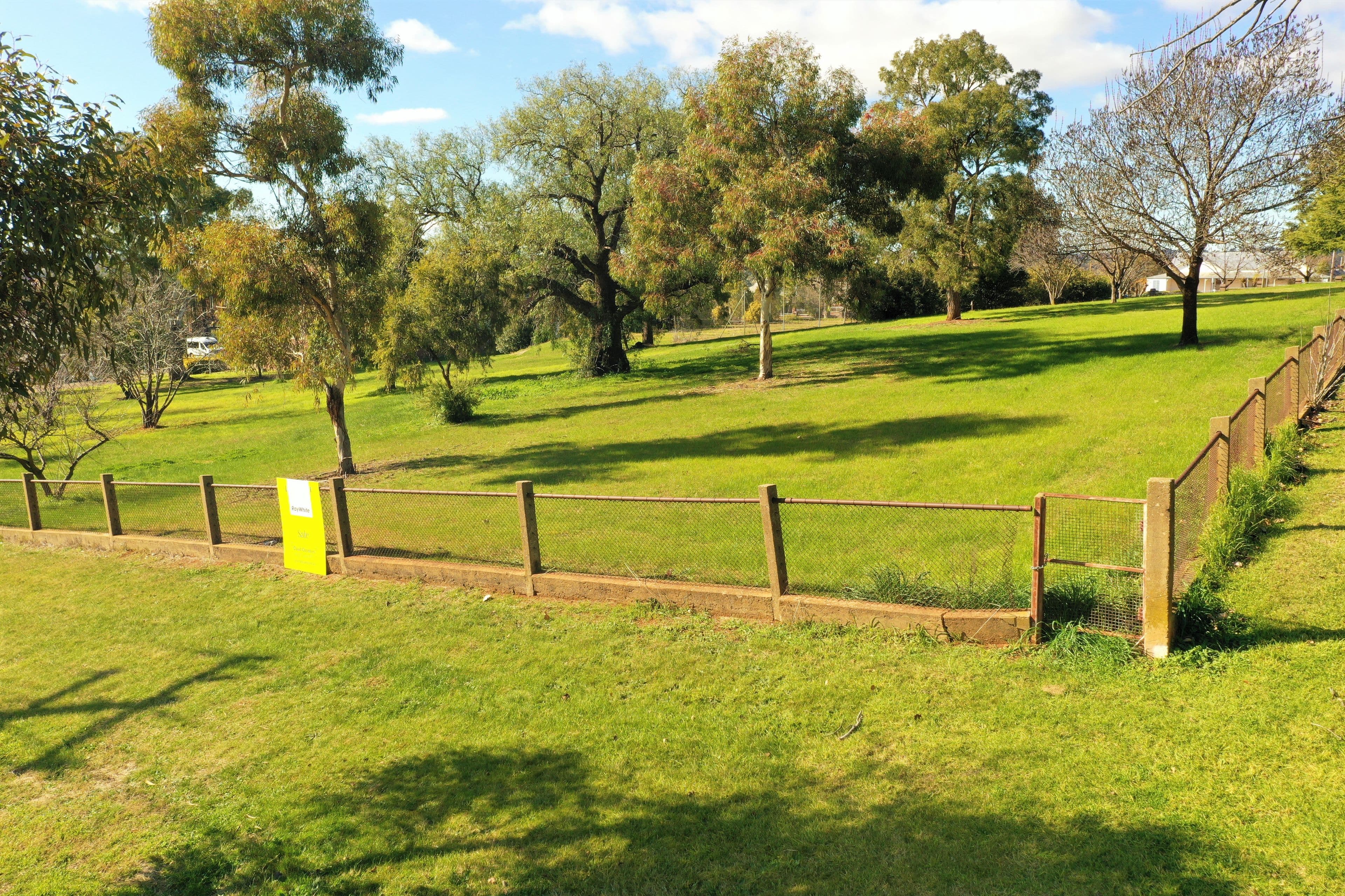 Bruce Street, Young NSW 2594, Young - Thumbnail 7