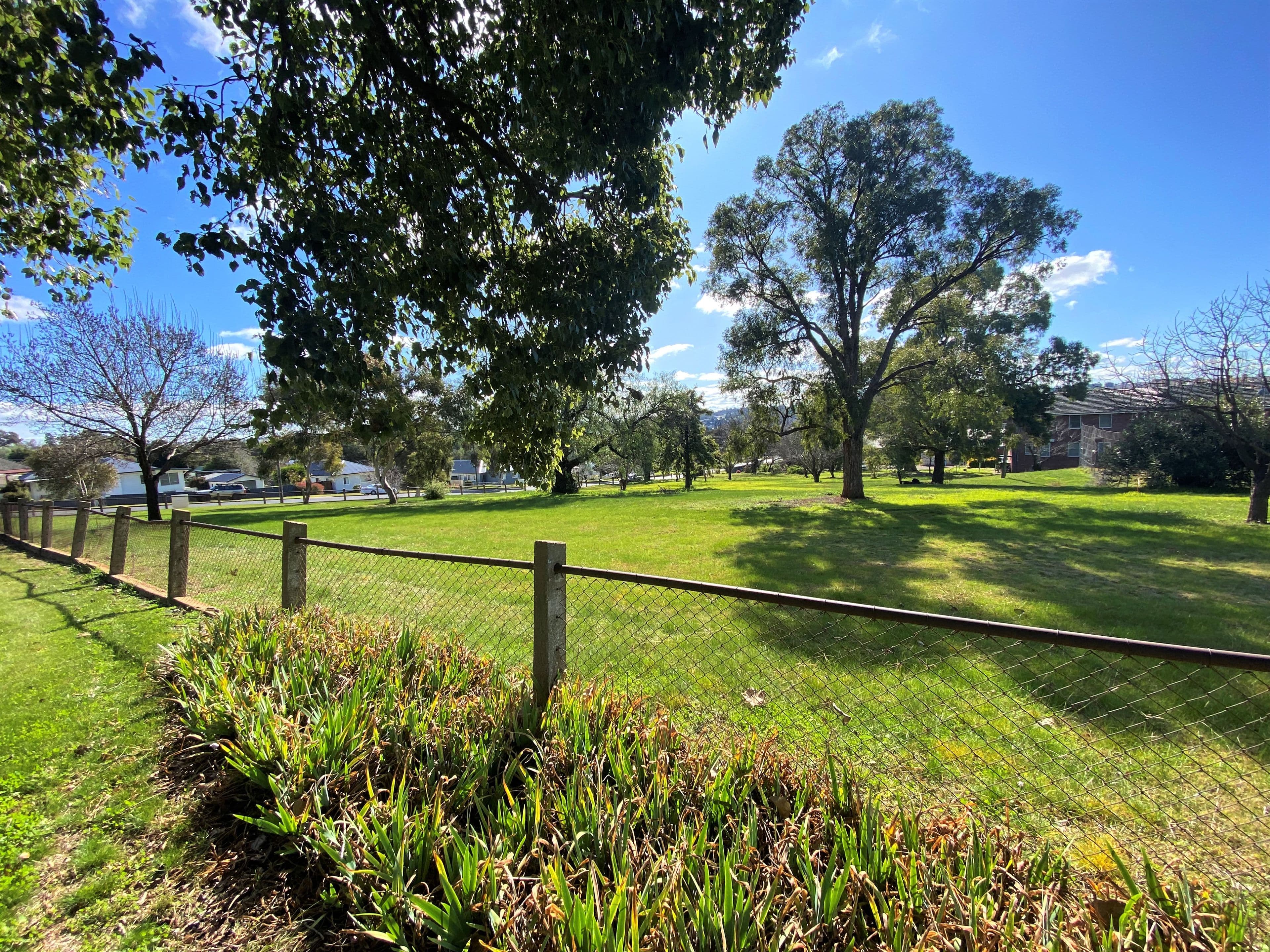 Bruce Street, Young NSW 2594, Young - Thumbnail 8