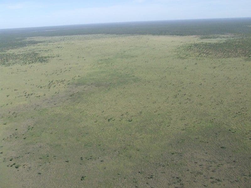 STURT PLATEAU NT 0852, Sturt Plateau - Thumbnail 3