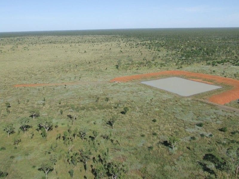 STURT PLATEAU NT 0852, Sturt Plateau - Thumbnail 4