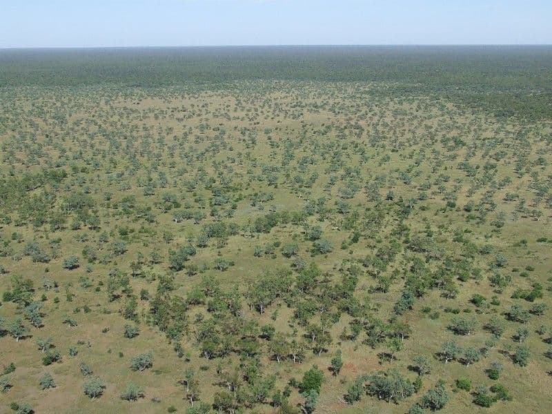 STURT PLATEAU NT 0852, Sturt Plateau - Thumbnail 6