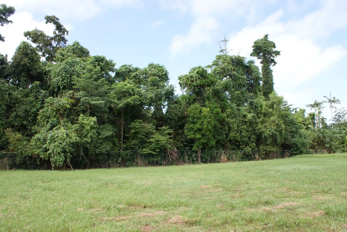 Lot 45 Sandpiper Close, MISSION BEACH QLD 4852, Mission Beach - Image 1