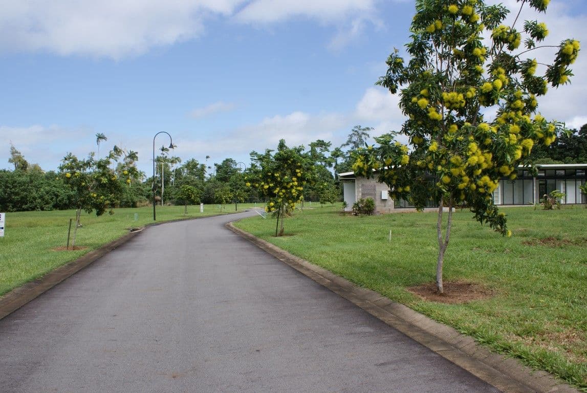 Lot 45 Sandpiper Close, MISSION BEACH QLD 4852, Mission Beach - Thumbnail 2