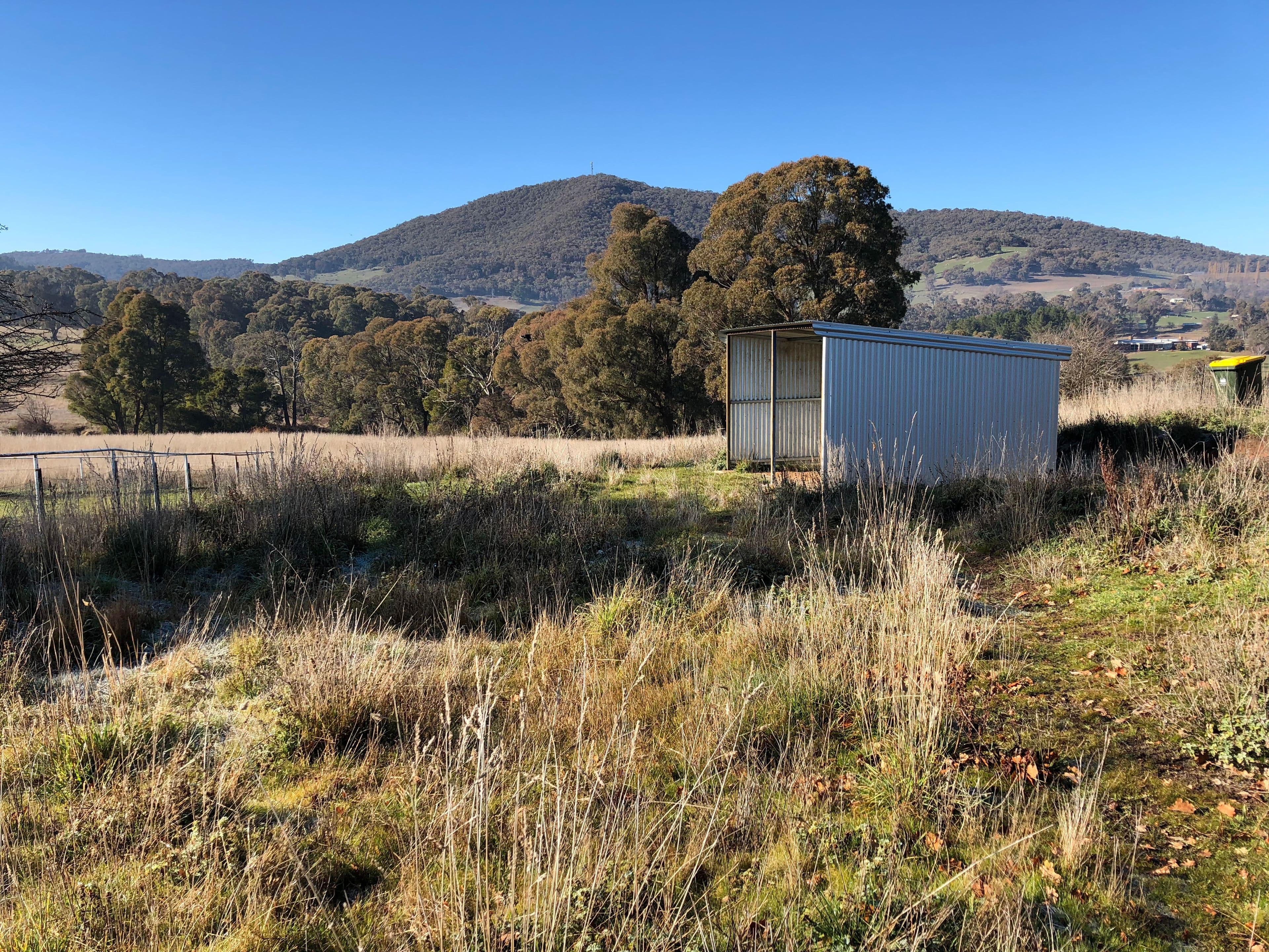 200 Batlow Road, Tumbarumba NSW 2653, Tumbarumba - Thumbnail 2