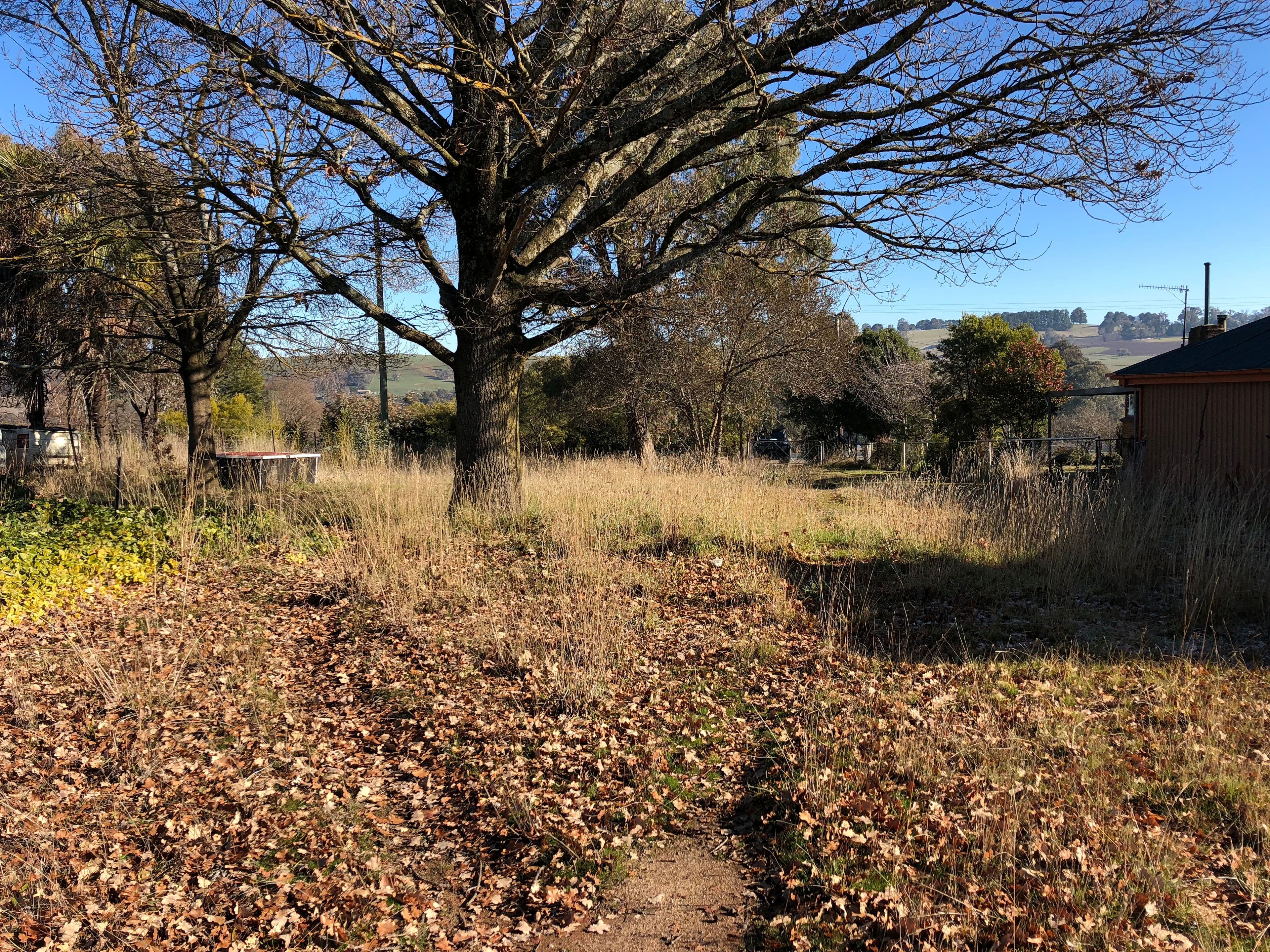 200 Batlow Road, Tumbarumba NSW 2653, Tumbarumba - Thumbnail 4