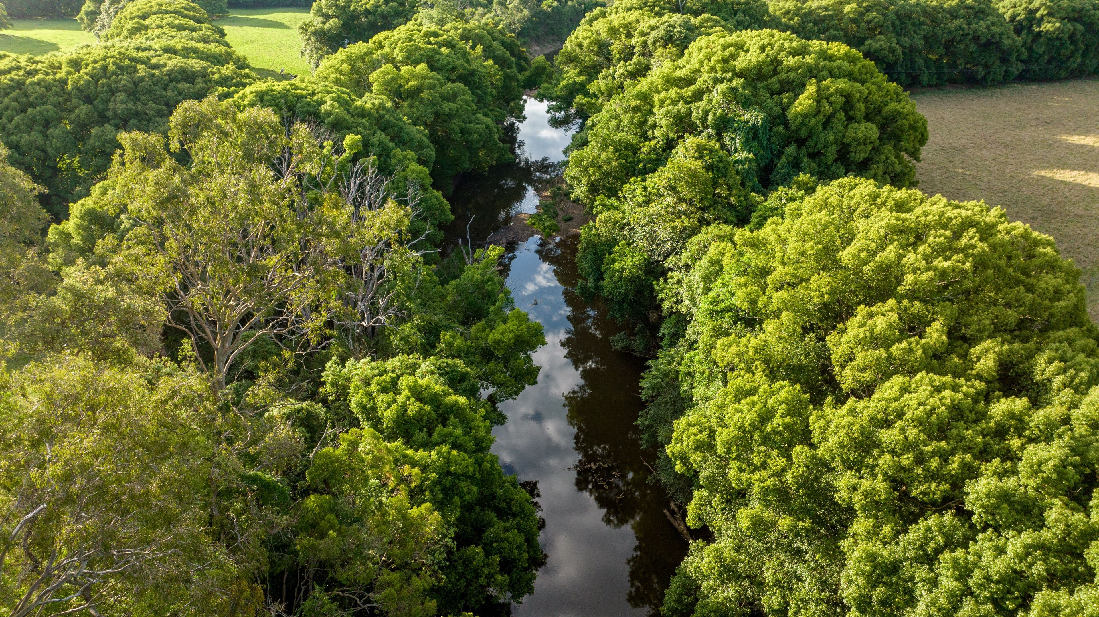 118 Walli Mountain Road, Kenilworth QLD 4574, Kenilworth - Thumbnail 8