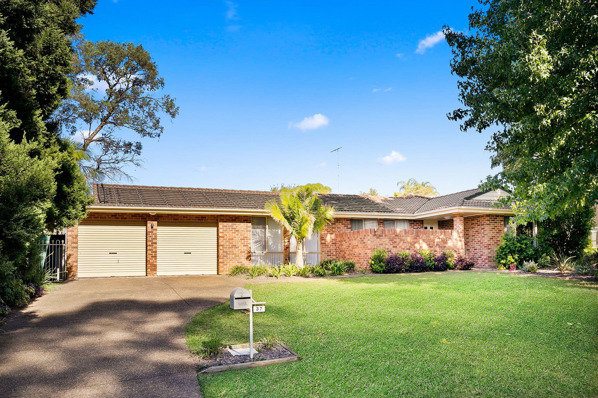 37 Gilbert Road, Castle Hill NSW 2154, Castle Hill - Thumbnail 2