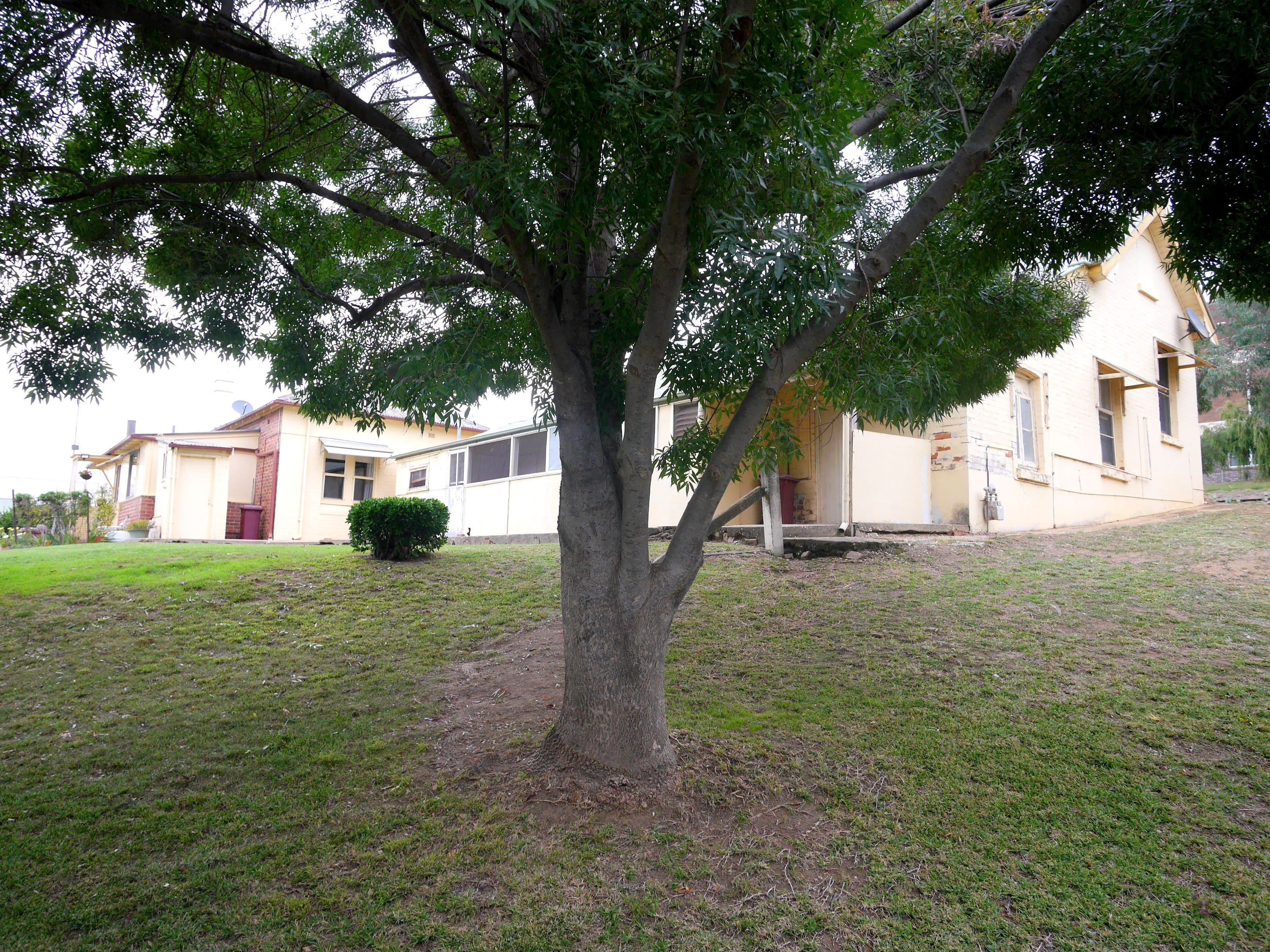 15 College Drive, Cowra - Thumbnail 2