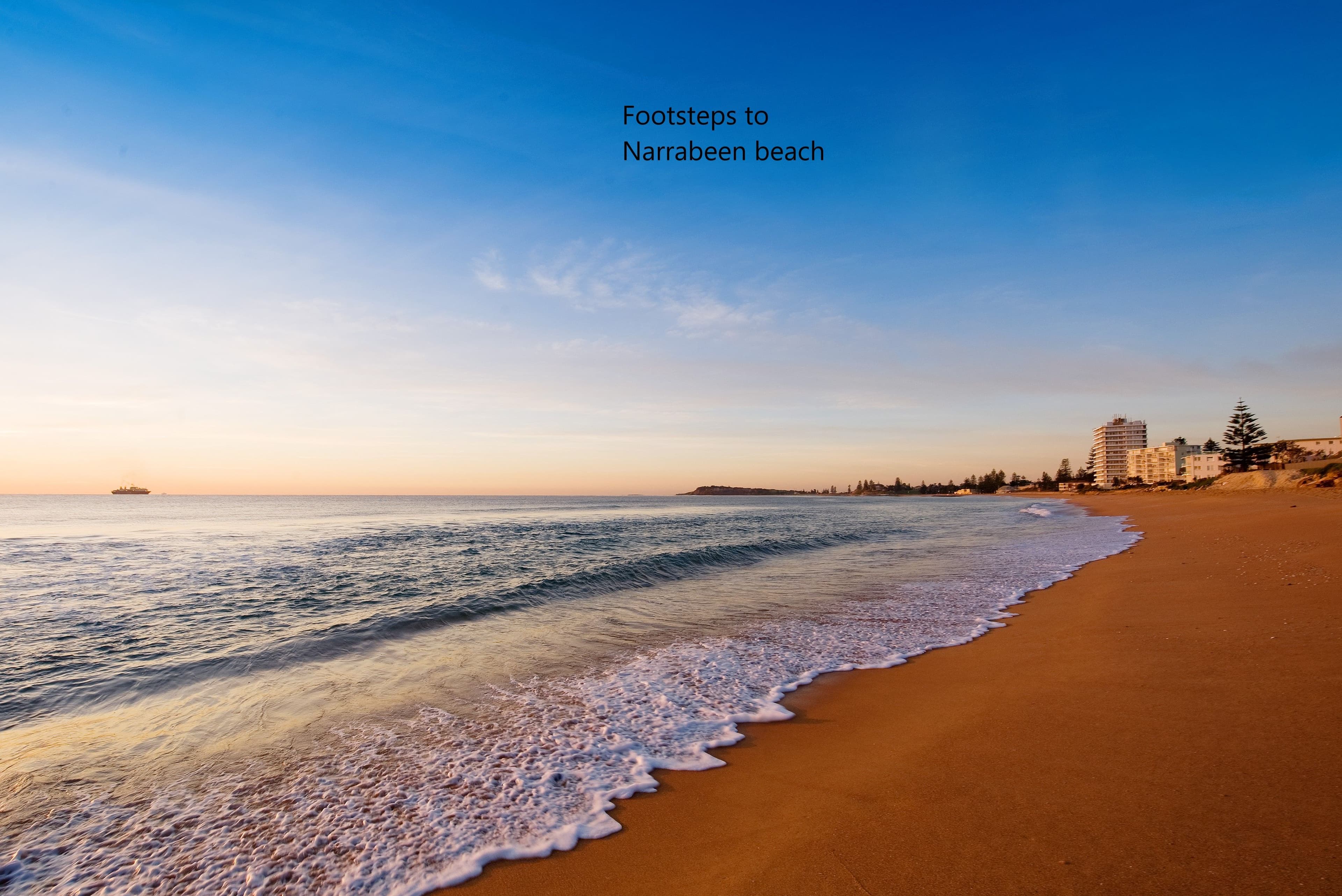 19 Clarke Street, Narrabeen NSW 2101, Narrabeen - Thumbnail 2