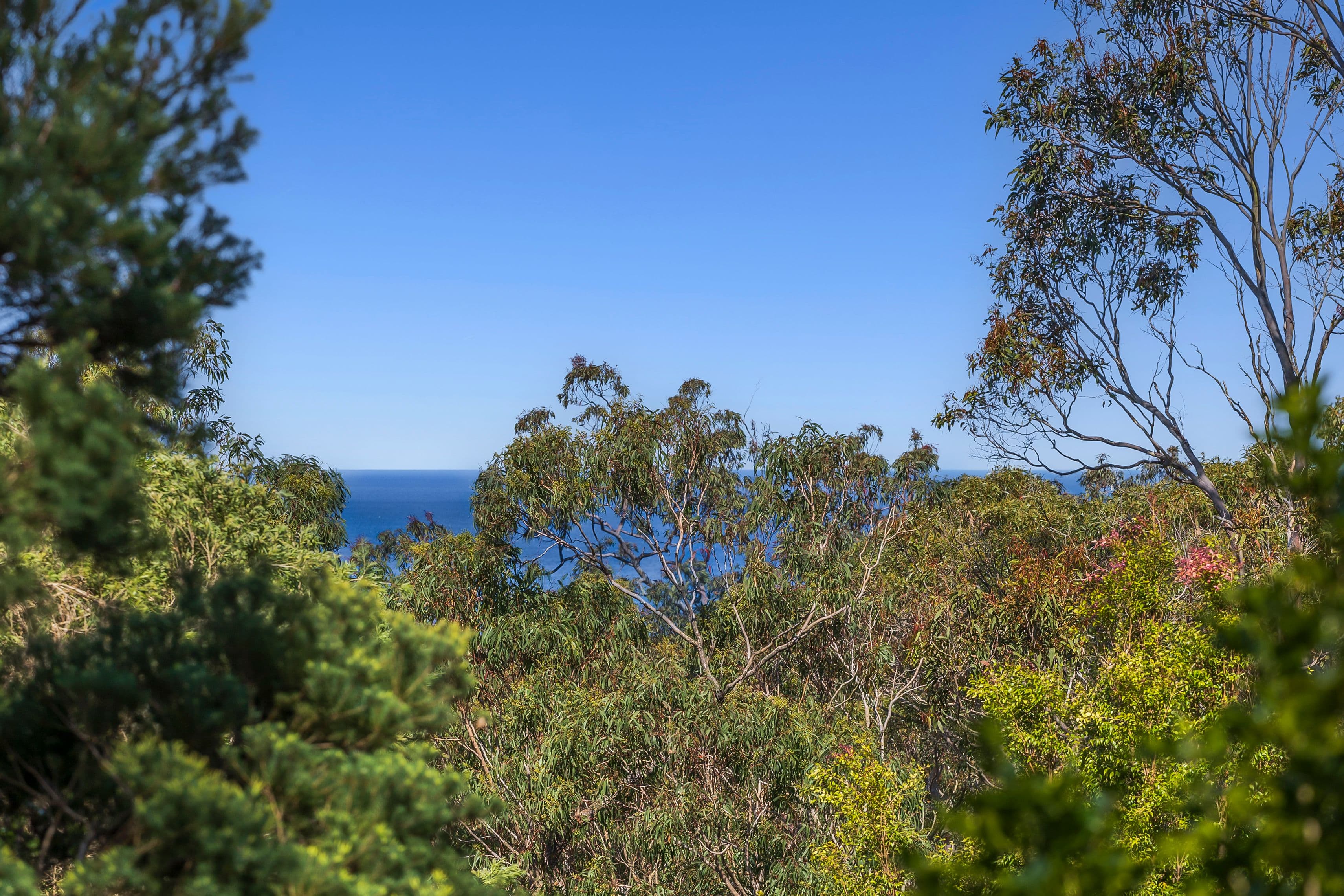 22 William Street, Avalon Beach NSW 2107, Avalon Beach - Thumbnail 5