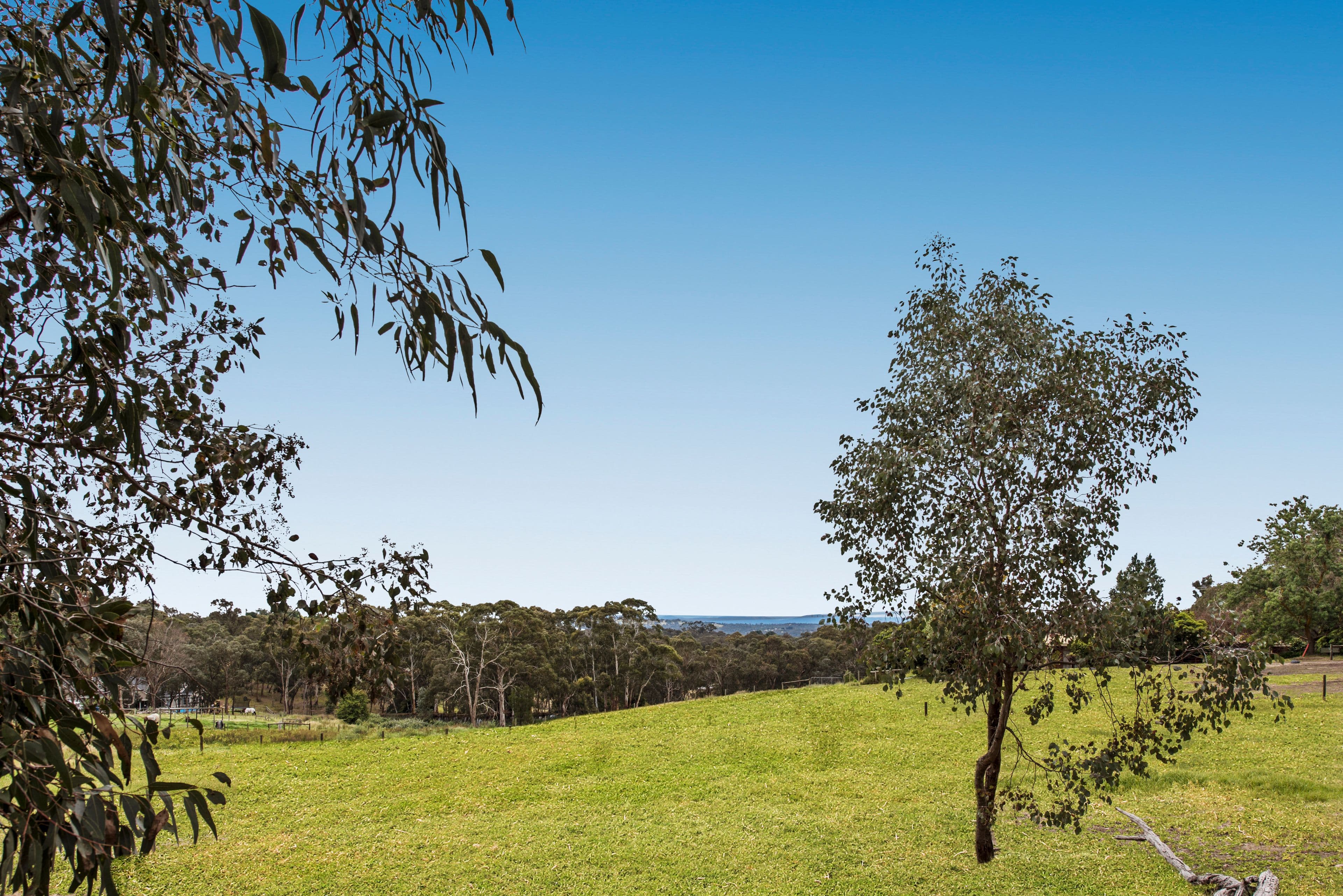 8 Reids Lane, Warranwood VIC 3134, Warranwood - Thumbnail 2