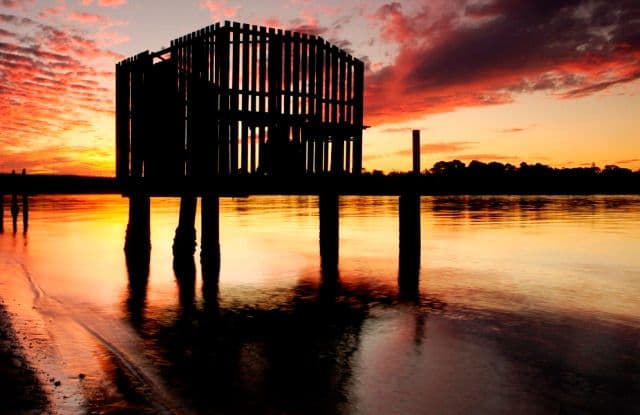 12 Thomas Street, Maroochydore QLD 4558, Maroochydore - Thumbnail 5