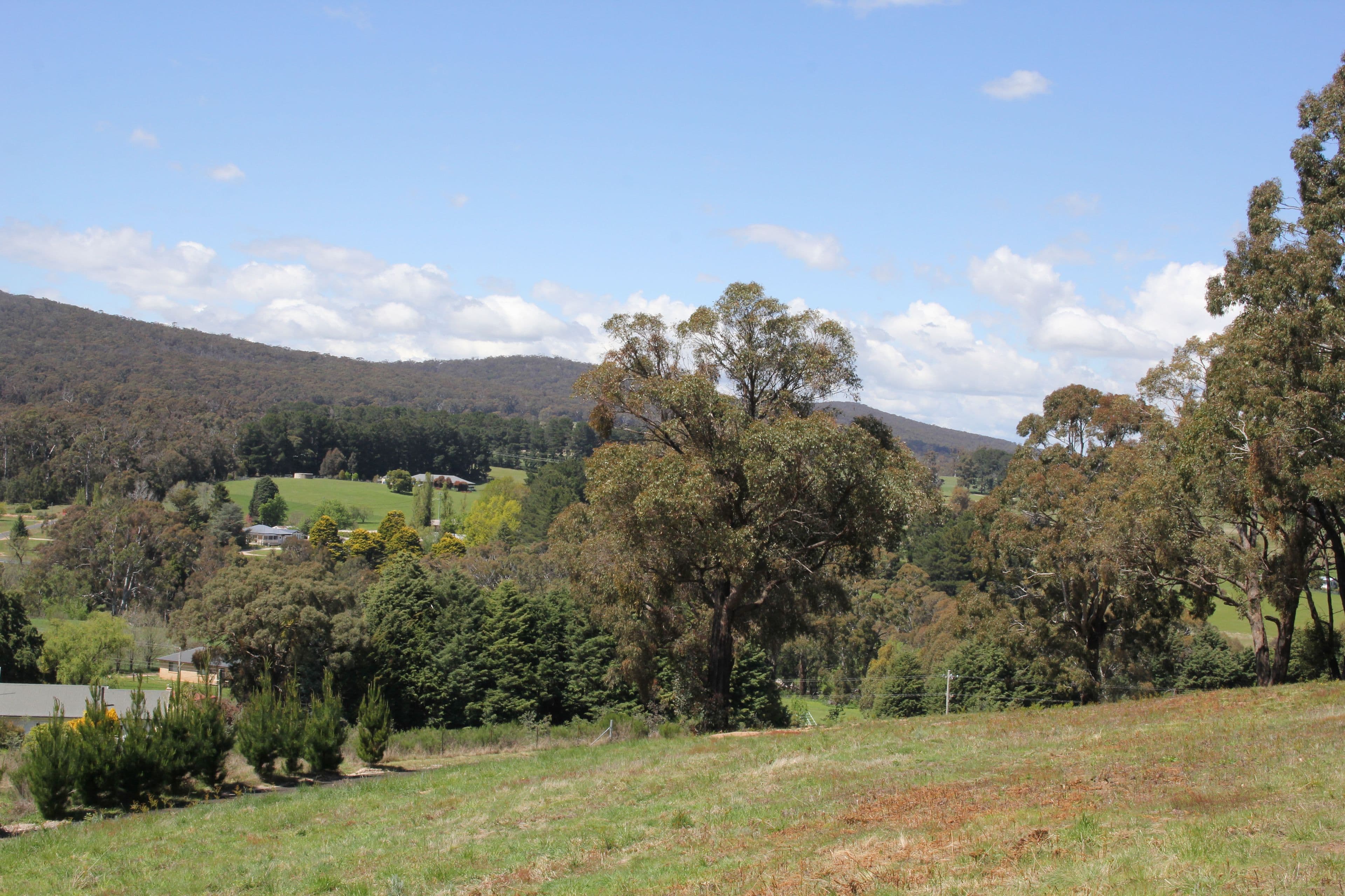 323 Yetholme Drive, Yetholme NSW 2795, Yetholme - Thumbnail 2