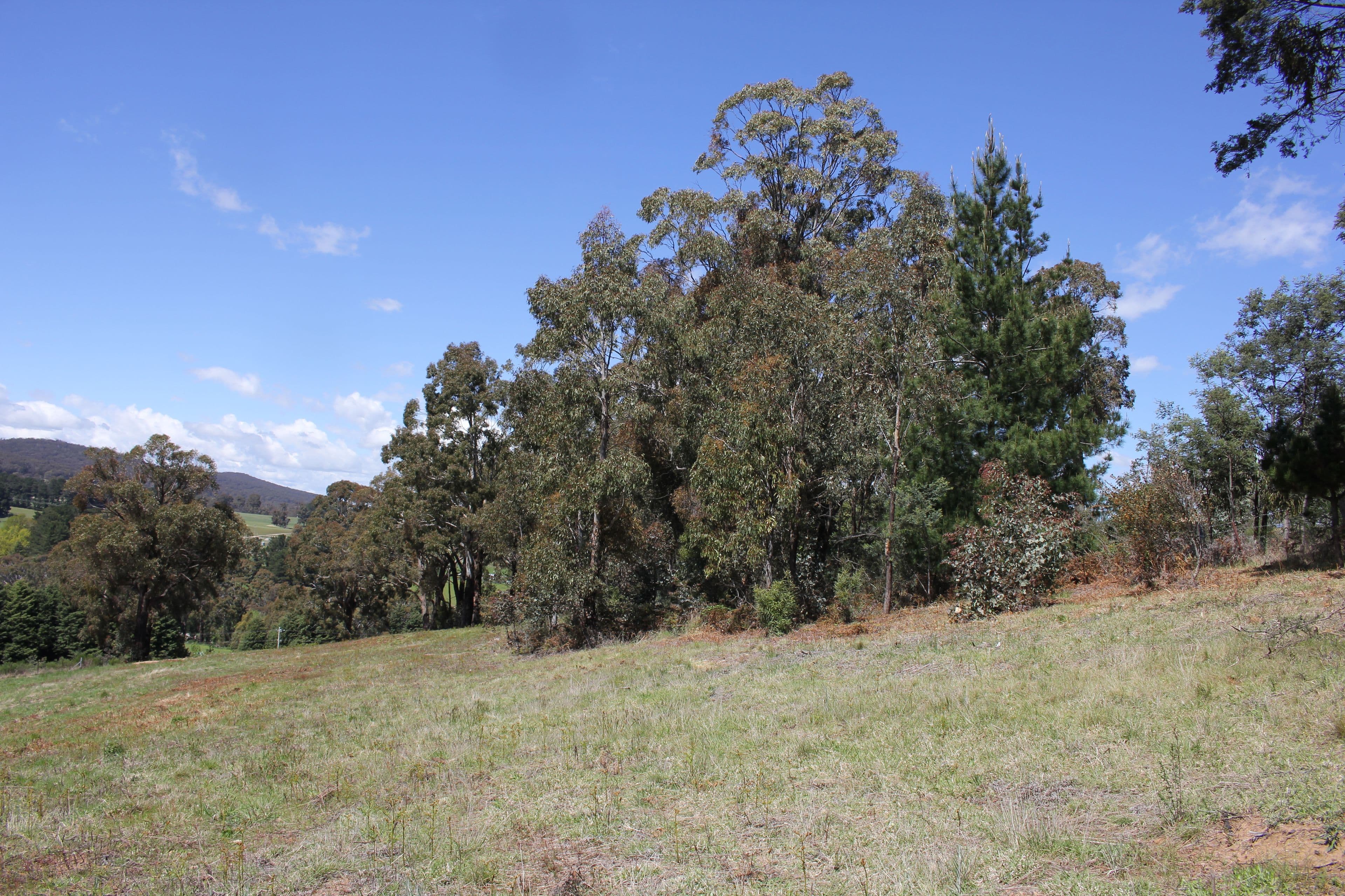 323 Yetholme Drive, Yetholme NSW 2795, Yetholme - Thumbnail 4