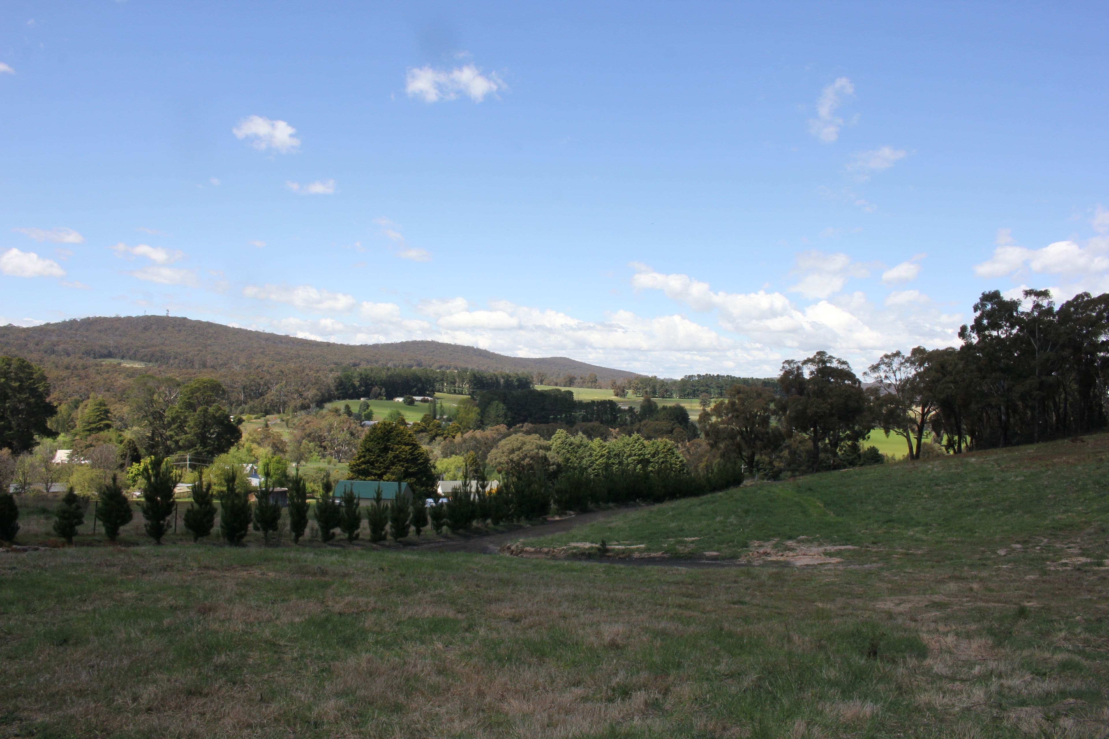 323 Yetholme Drive, Yetholme NSW 2795, Yetholme - Thumbnail 5