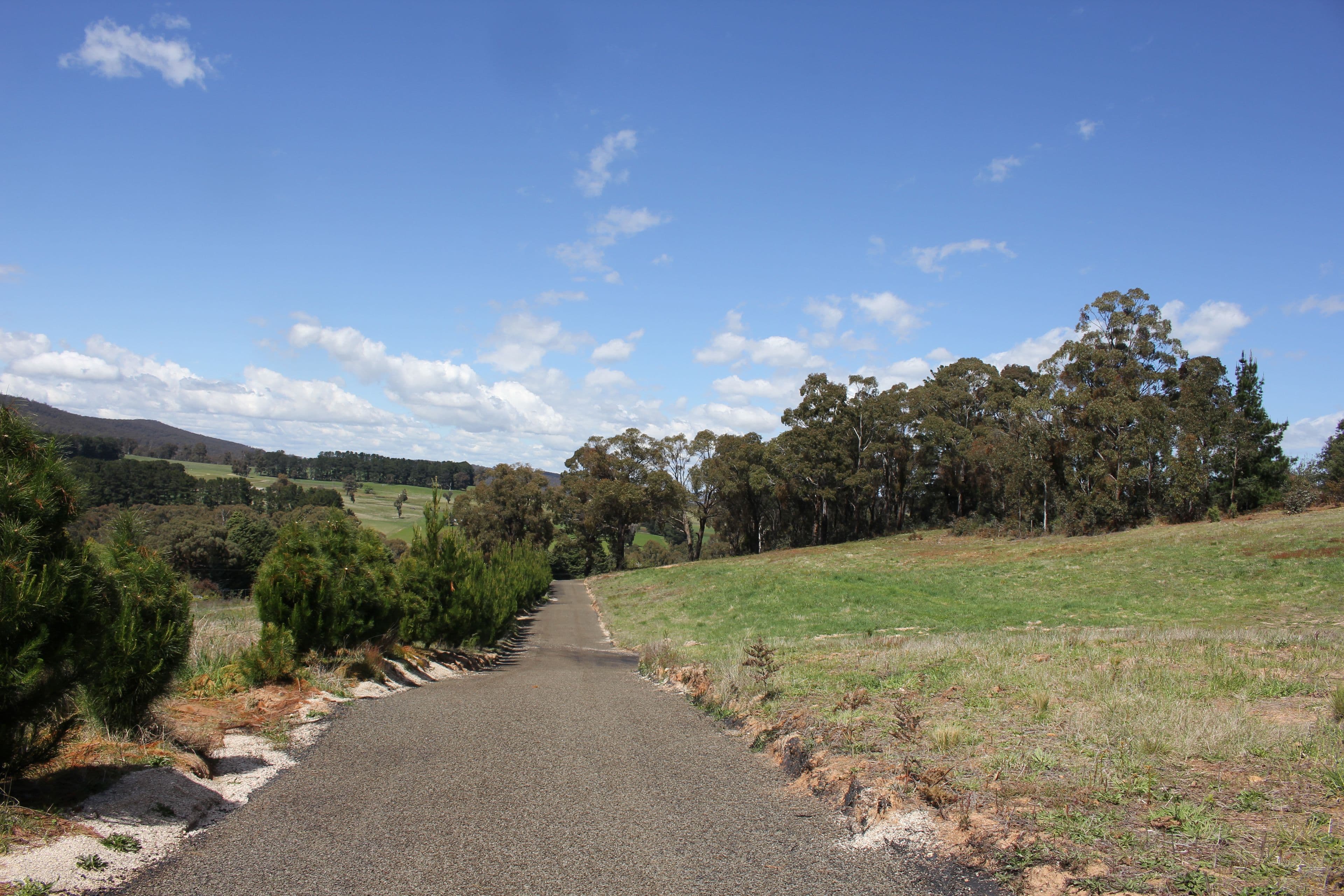 323 Yetholme Drive, Yetholme NSW 2795, Yetholme - Thumbnail 6