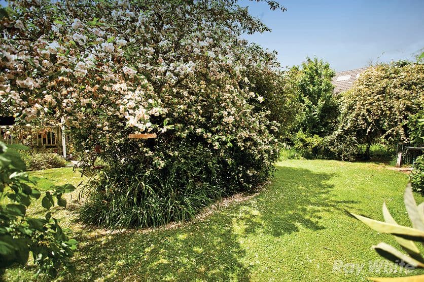 46 Larch Crescent, MOUNT WAVERLEY VIC 3149, Mount Waverley - Thumbnail 7