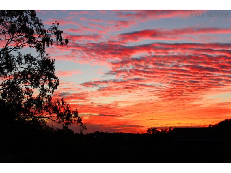 21 Carmody Court, PETRIE QLD 4502, Petrie - Thumbnail 4