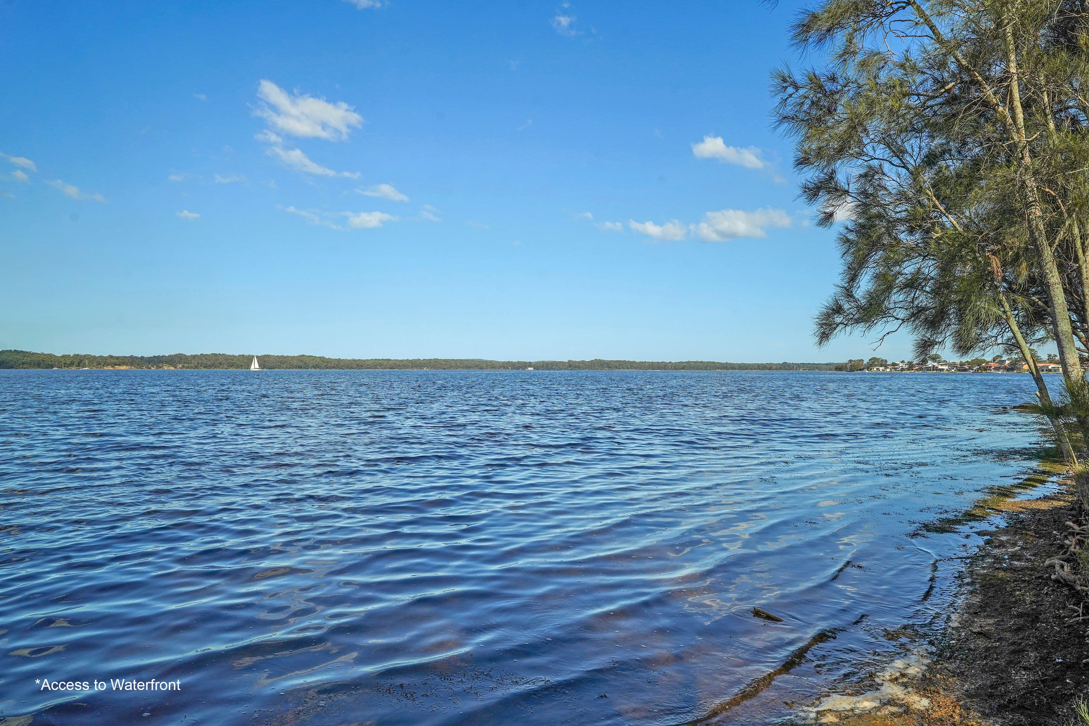 19a Silverwater Road, Silverwater NSW 2264, Silverwater - Thumbnail 8