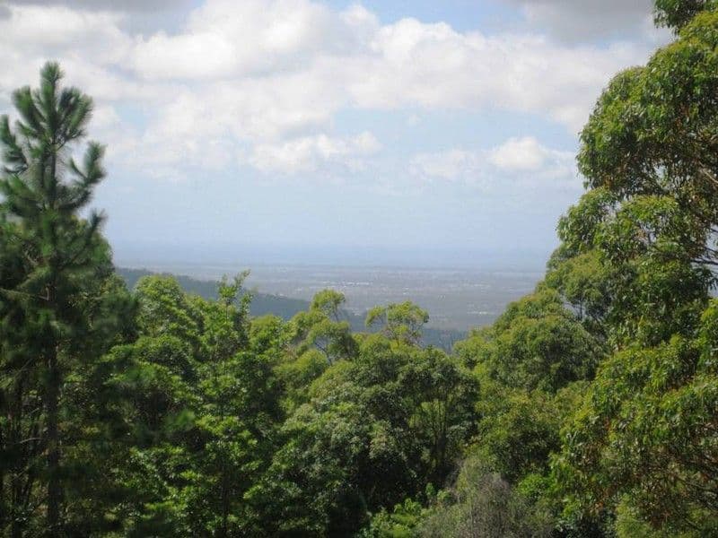 79 Magnetic Drive, TAMBORINE MOUNTAIN QLD 4272, Tamborine Mountain - Thumbnail 5