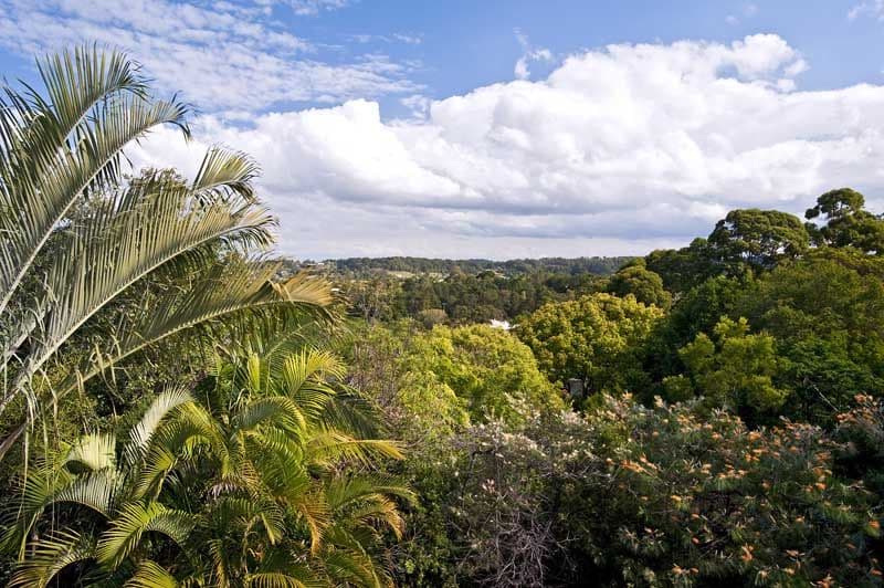 78 Willis Road, BLI BLI QLD 4560, Bli Bli - Thumbnail 2