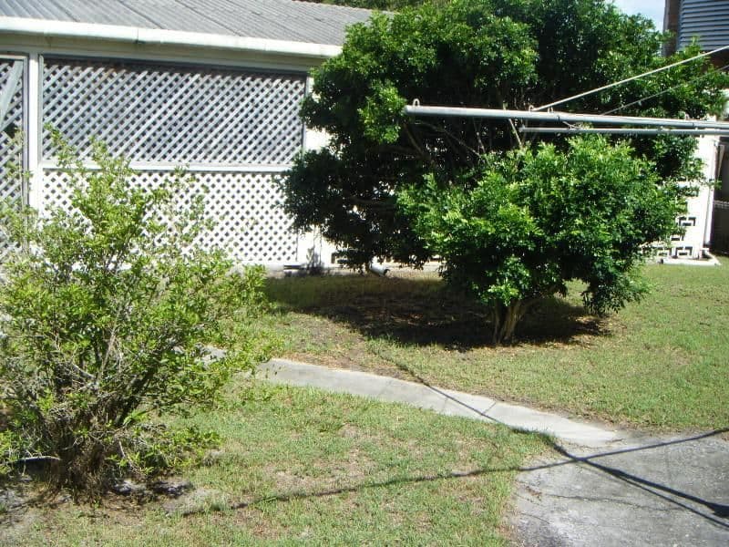 93 Taylor Avenue, GOLDEN BEACH QLD 4551, Golden Beach - Thumbnail 6