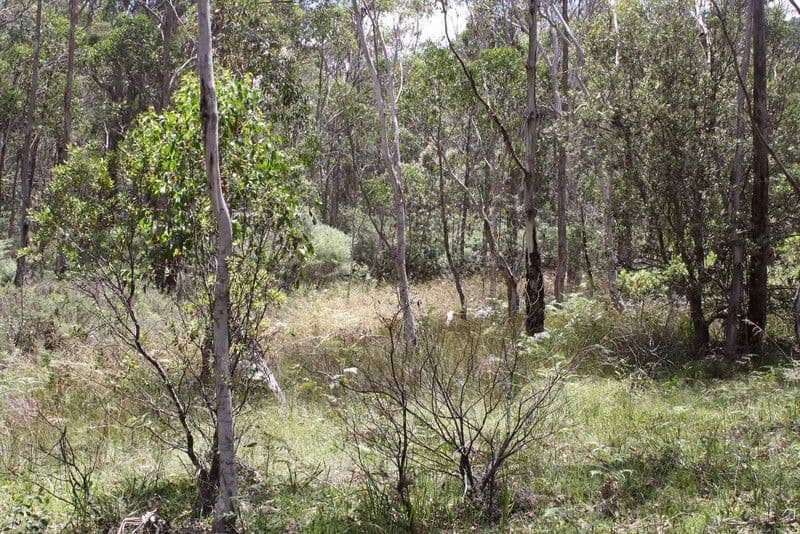 66 Sara River Road, GLEN INNES NSW 2370, Glen Innes - Thumbnail 2