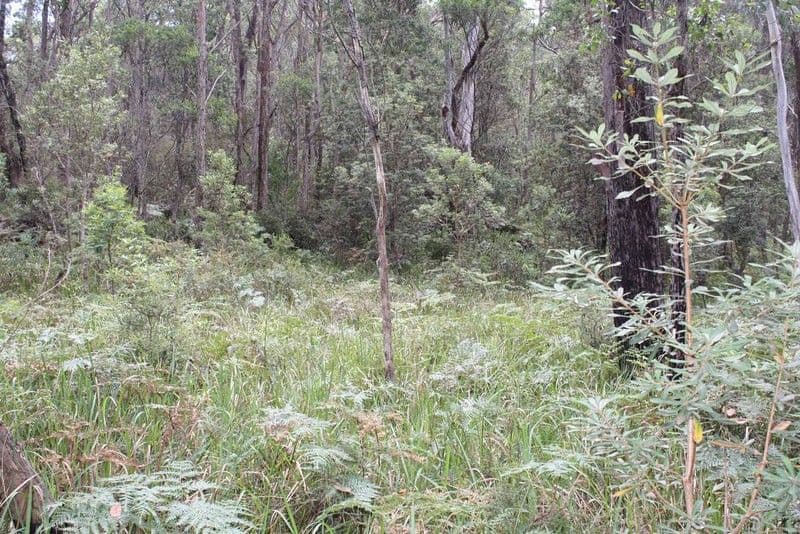 66 Sara River Road, GLEN INNES NSW 2370, Glen Innes - Thumbnail 4