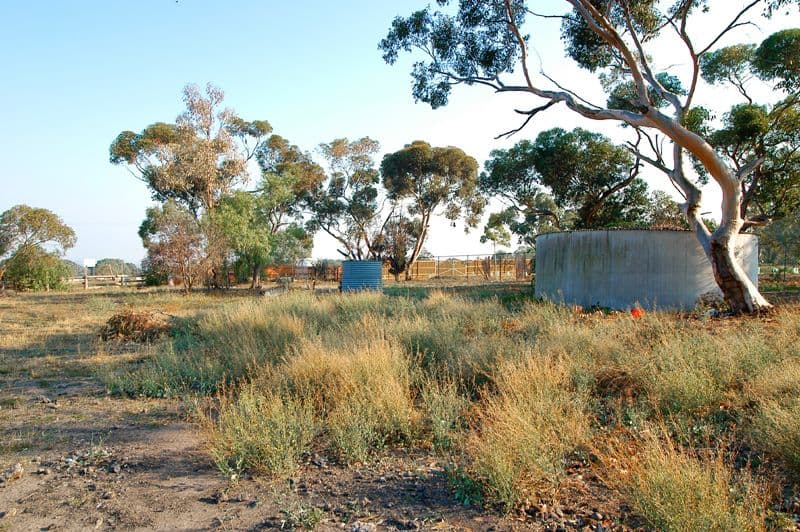 160 SECTION Road, GREENVALE VIC 3059, Greenvale - Thumbnail 2