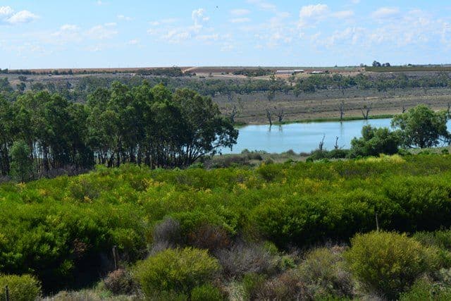 Lot 1 Ramco Road, WAIKERIE SA 5330, Waikerie - Image 1