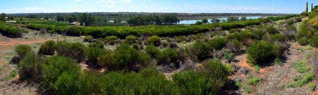 Lot 1 Ramco Road, WAIKERIE SA 5330, Waikerie - Thumbnail 2