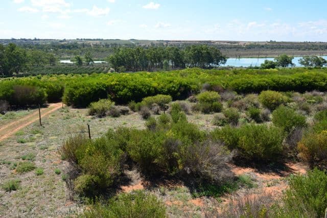 Lot 1 Ramco Road, WAIKERIE SA 5330, Waikerie - Thumbnail 3