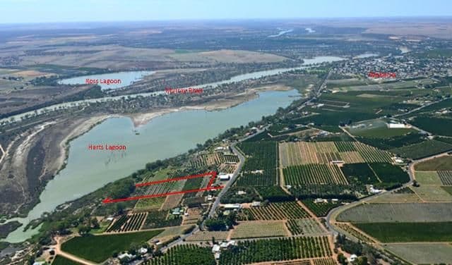 Lot 1 Ramco Road, WAIKERIE SA 5330, Waikerie - Thumbnail 4