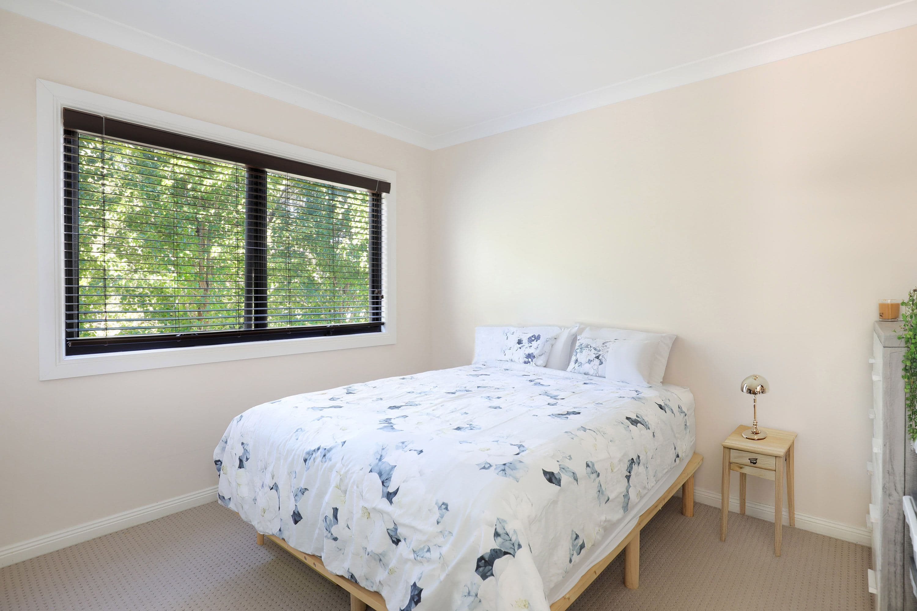 151 Hat Hill Road, Blackheath NSW 2785, Blackheath - Thumbnail 5