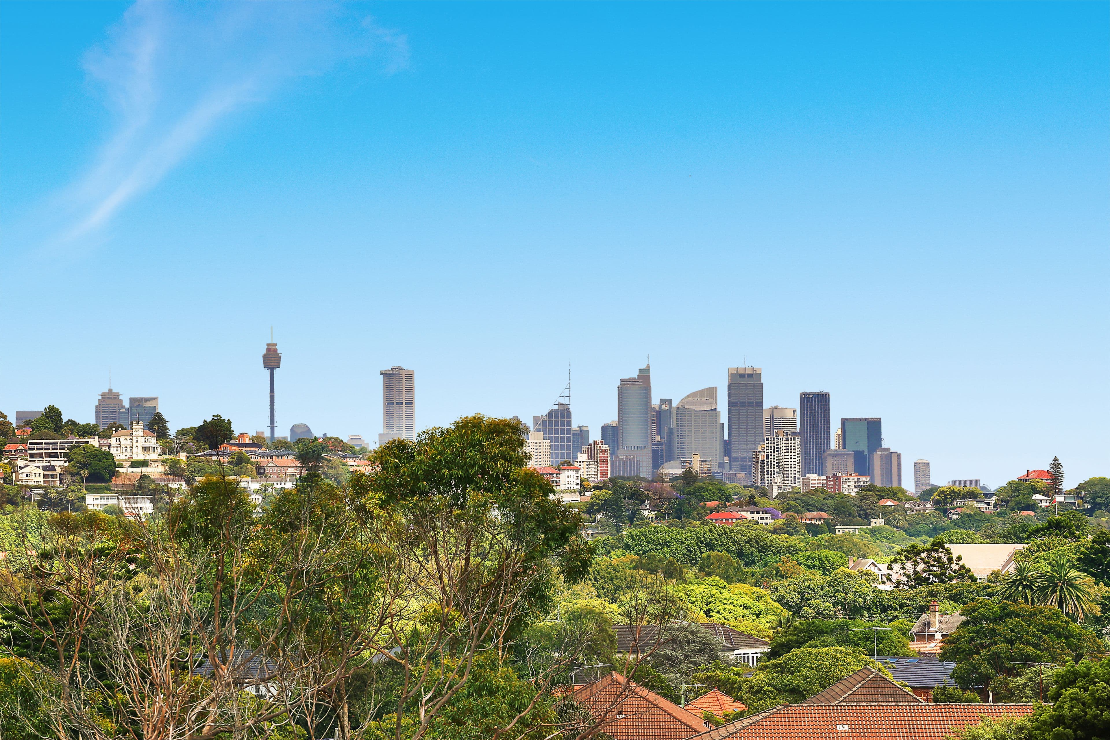 36 Liverpool Street, Rose Bay NSW 2029, Rose Bay - Image 1
