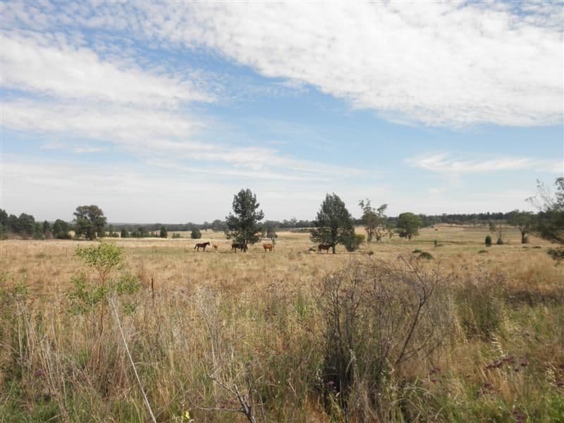 22R Sappa Bulga Road, DUBBO NSW 2830, Dubbo - Thumbnail 2