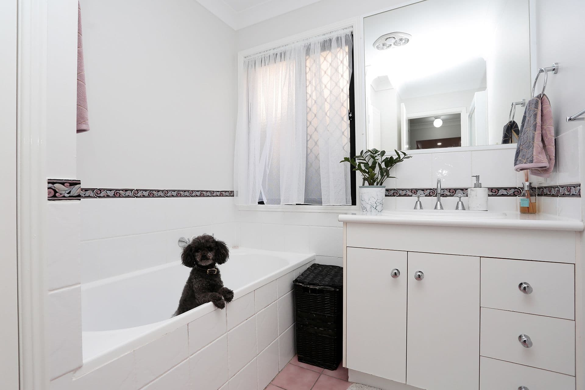 10 Rosewood Place, Forest Lake QLD 4078, Forest Lake - Thumbnail 8