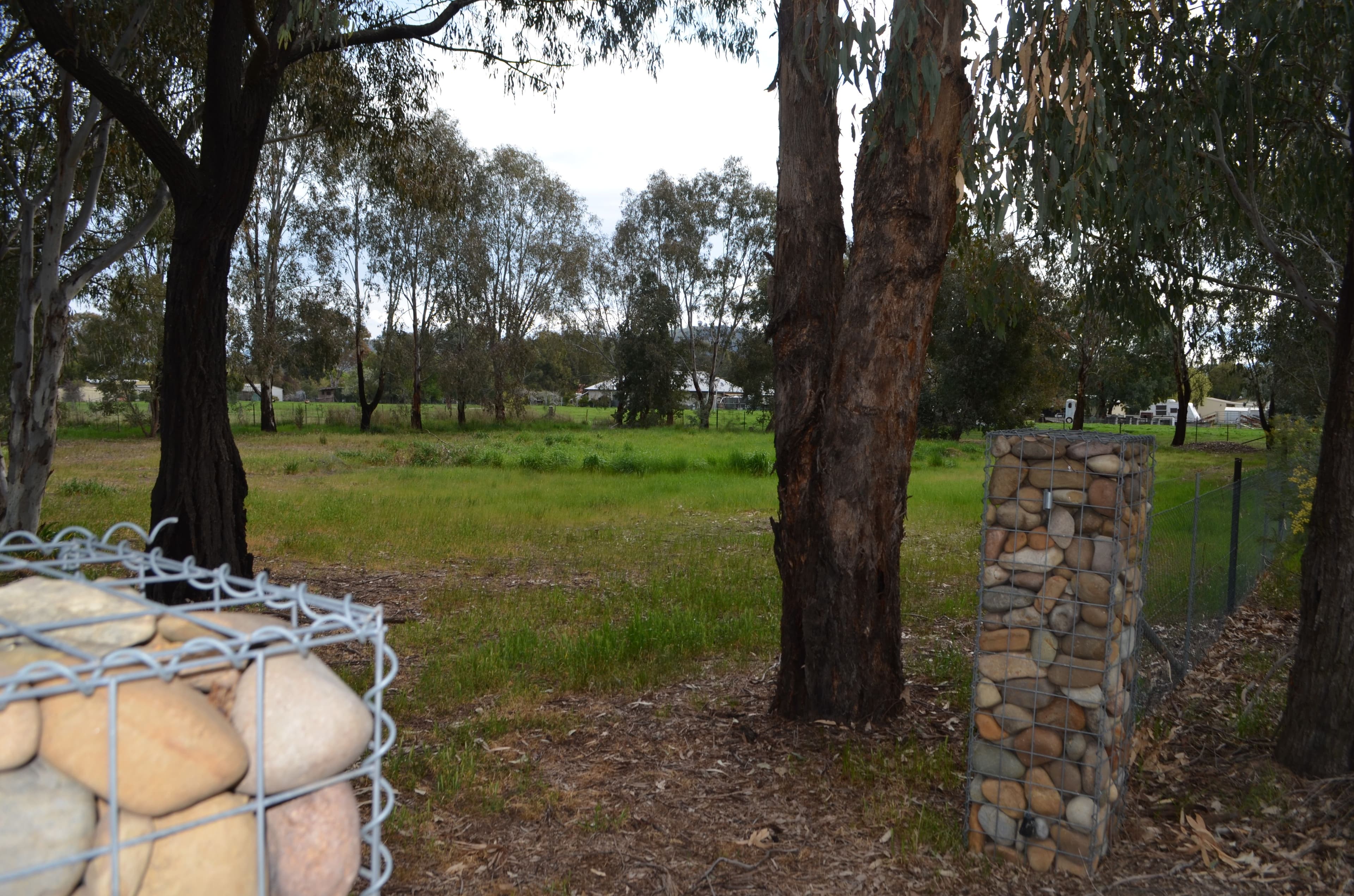 16 Brungle Creek Road, Brungle NSW 2722, Brungle - Thumbnail 2