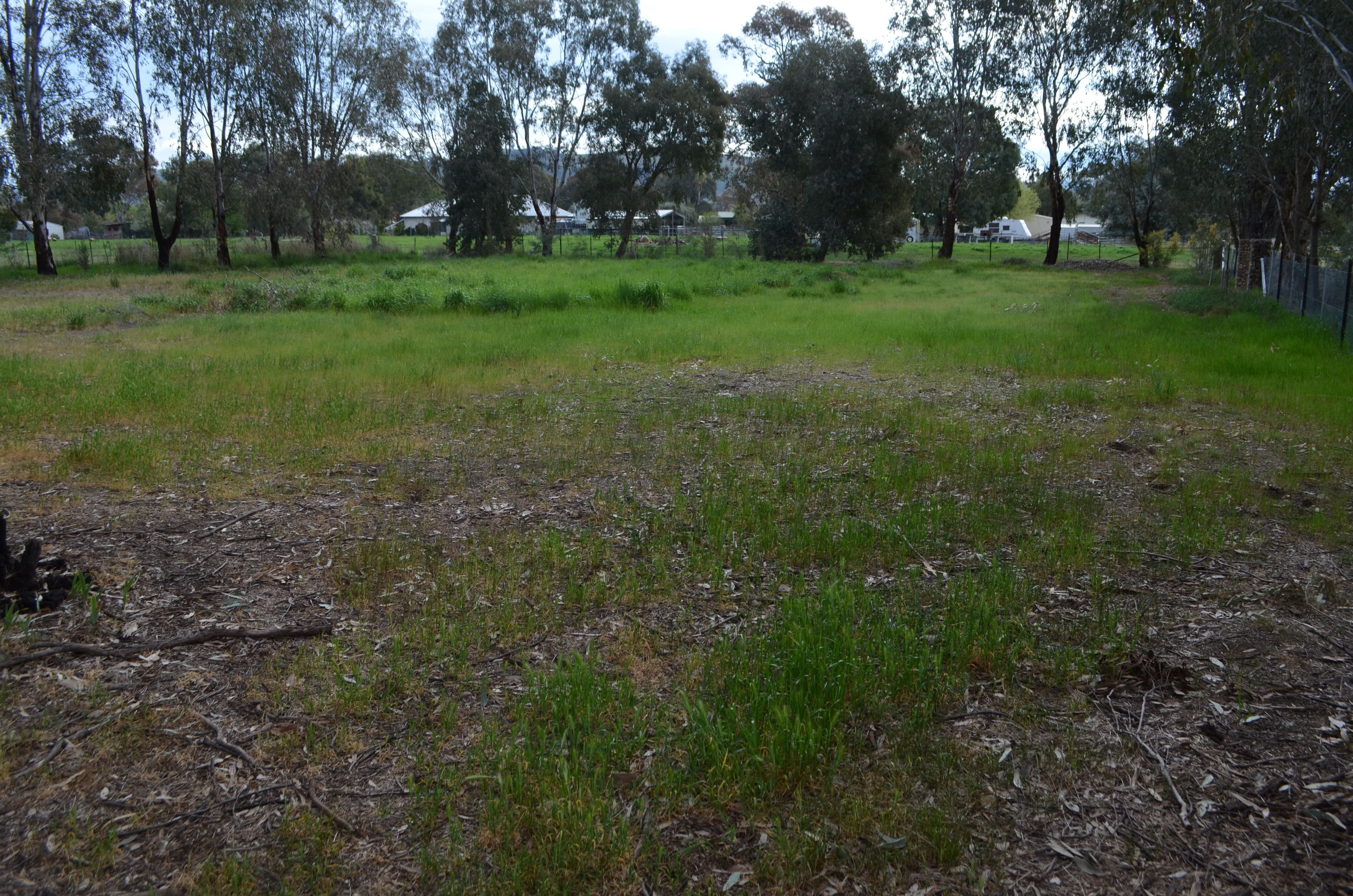 16 Brungle Creek Road, Brungle NSW 2722, Brungle - Thumbnail 3