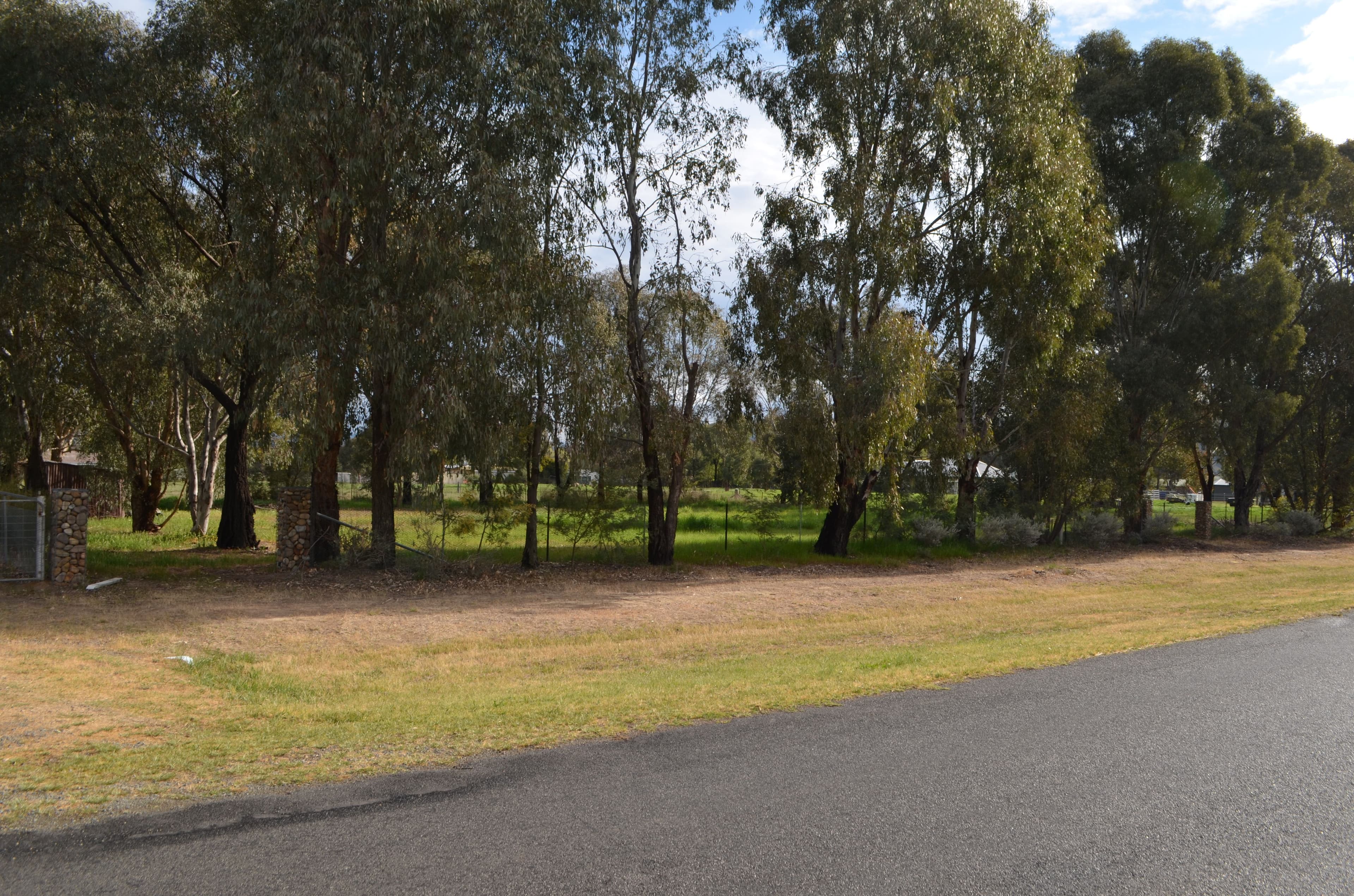 16 Brungle Creek Road, Brungle NSW 2722, Brungle - Thumbnail 4