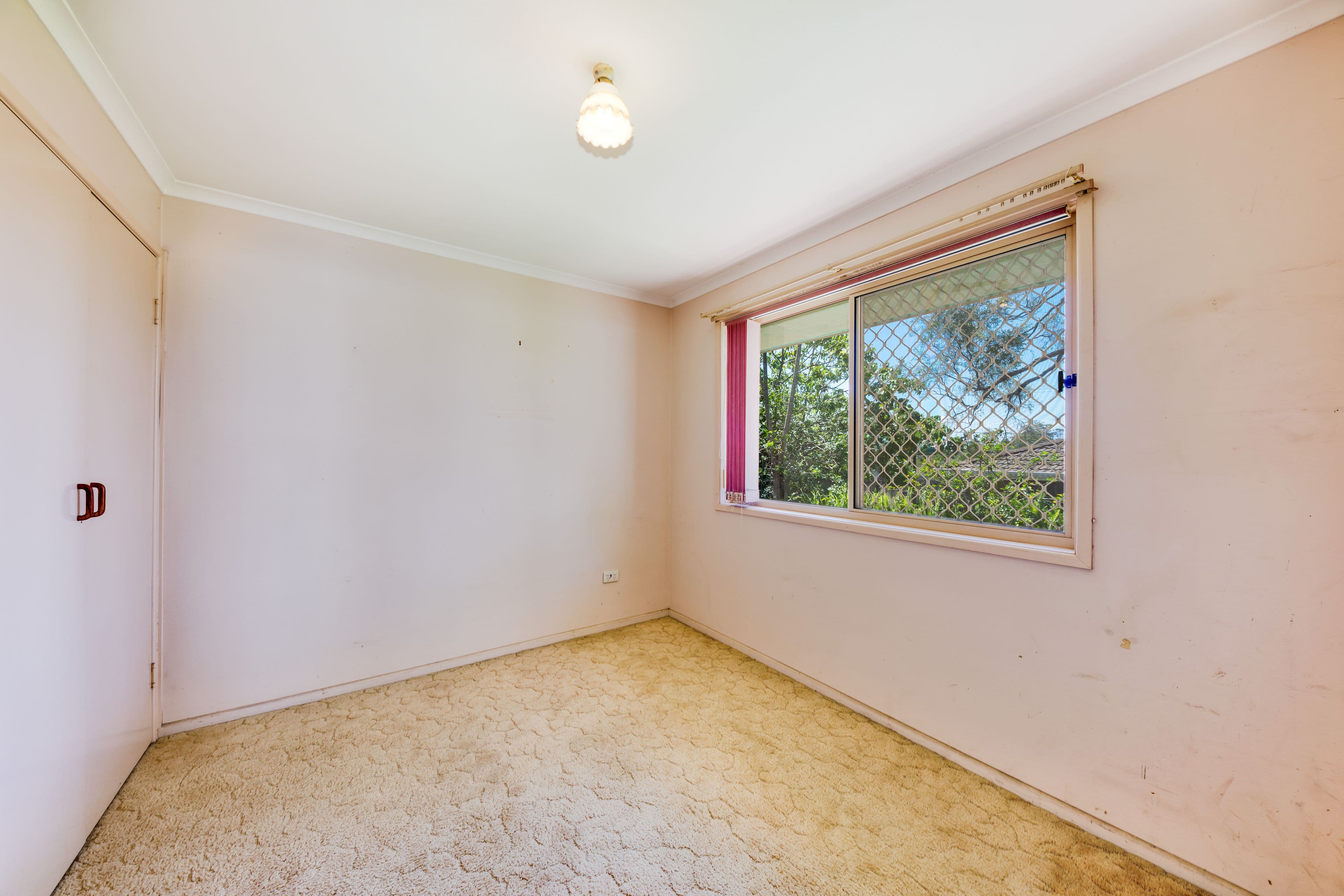 47 Emperor Avenue, Maroochydore QLD 4558, Maroochydore - Thumbnail 7