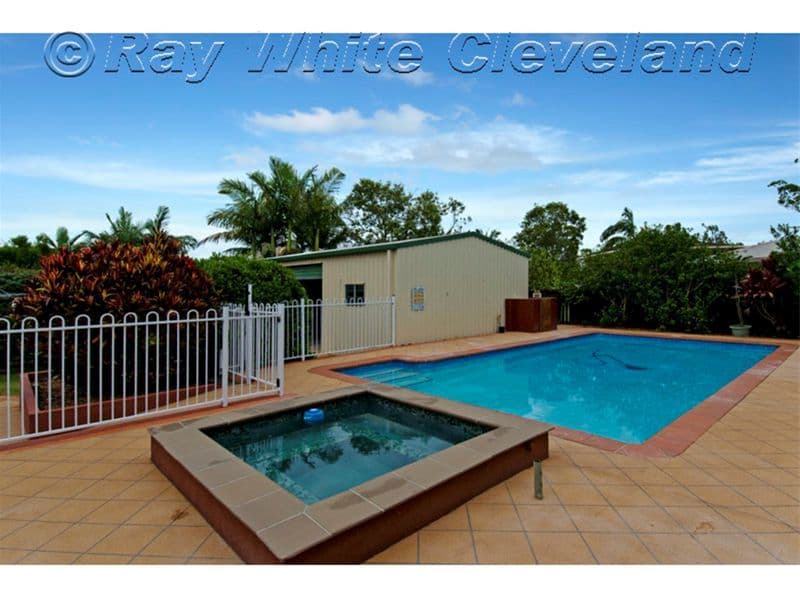 50 Babiana Street, ALEXANDRA HILLS QLD 4161, Alexandra Hills - Thumbnail 4