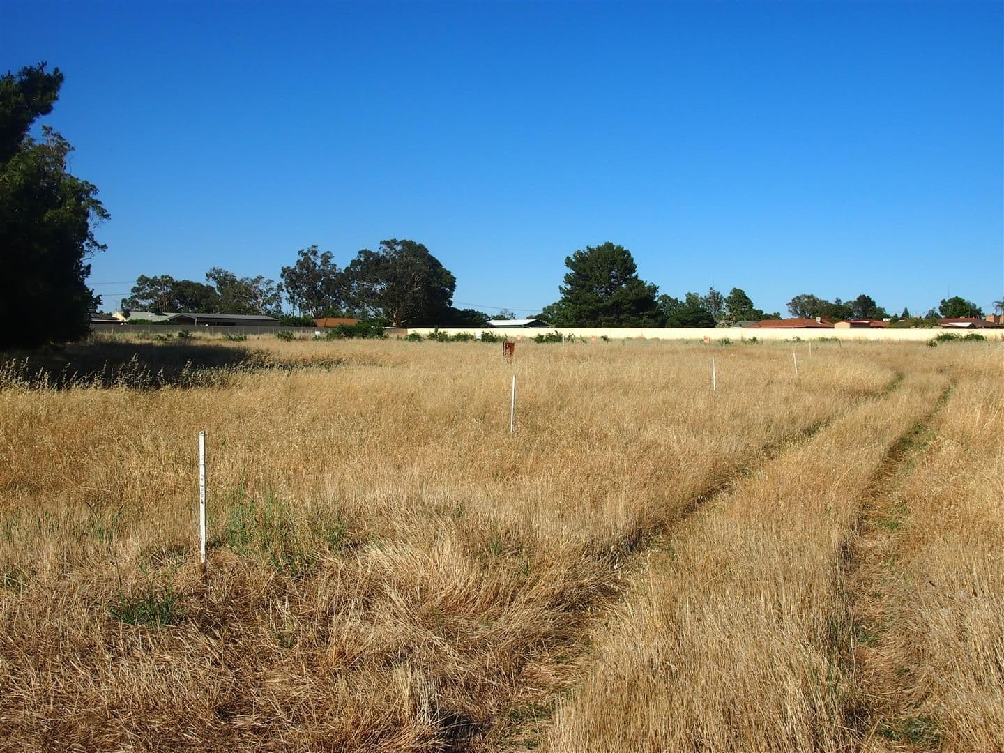 Lot 10 21A Coronation Avenue, Parkes NSW 2870, Parkes - Thumbnail 4