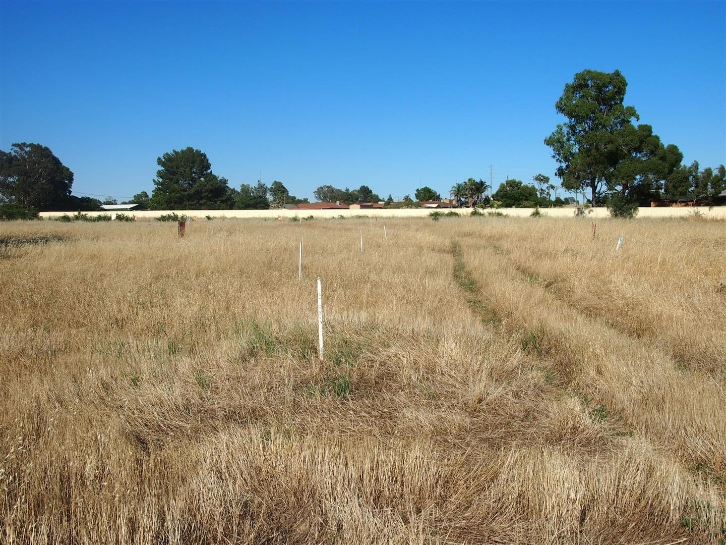 Lot 10 21A Coronation Avenue, Parkes NSW 2870, Parkes - Thumbnail 6