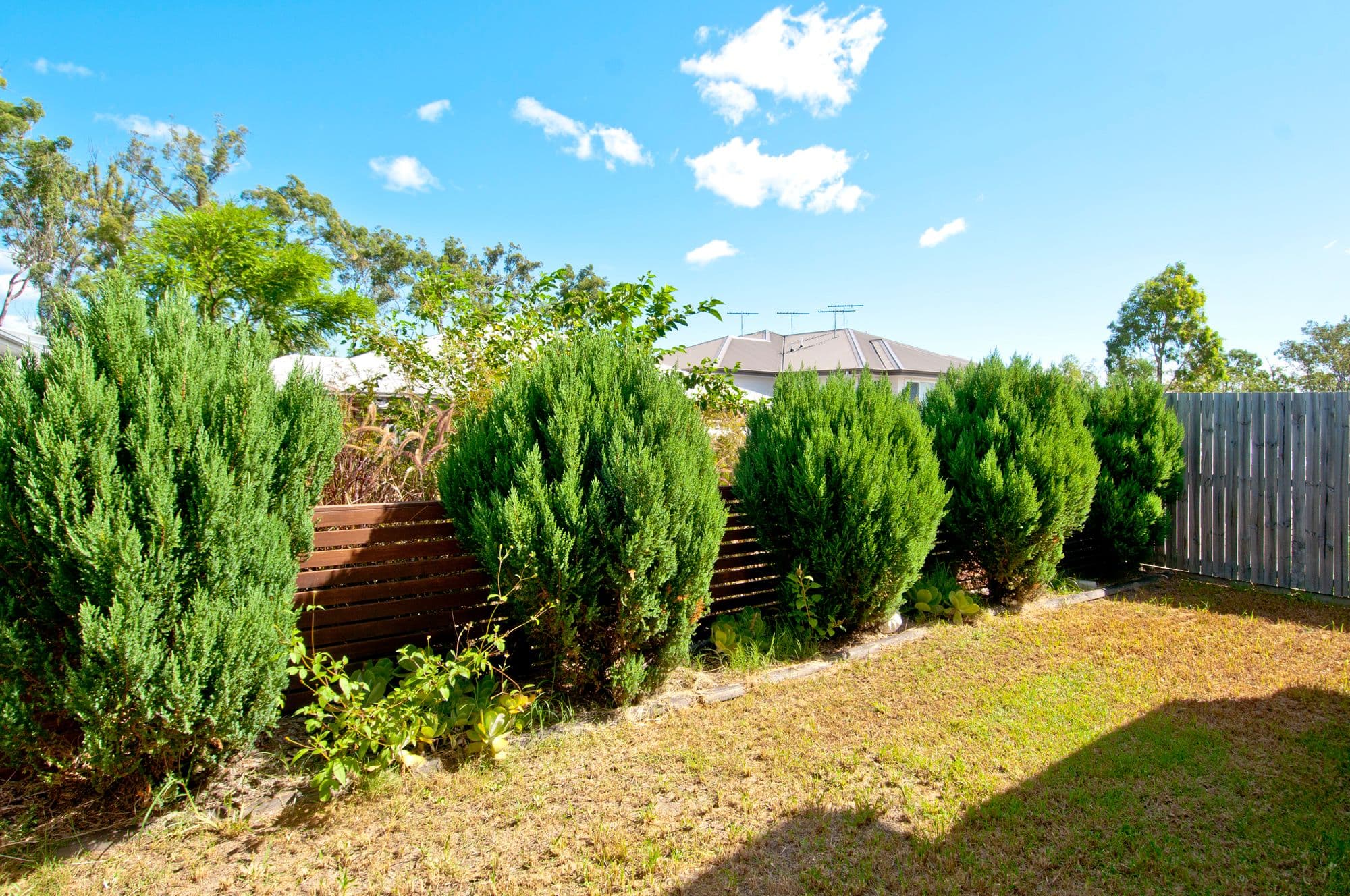 7 Nova Street, Waterford QLD 4133, Waterford - Thumbnail 8