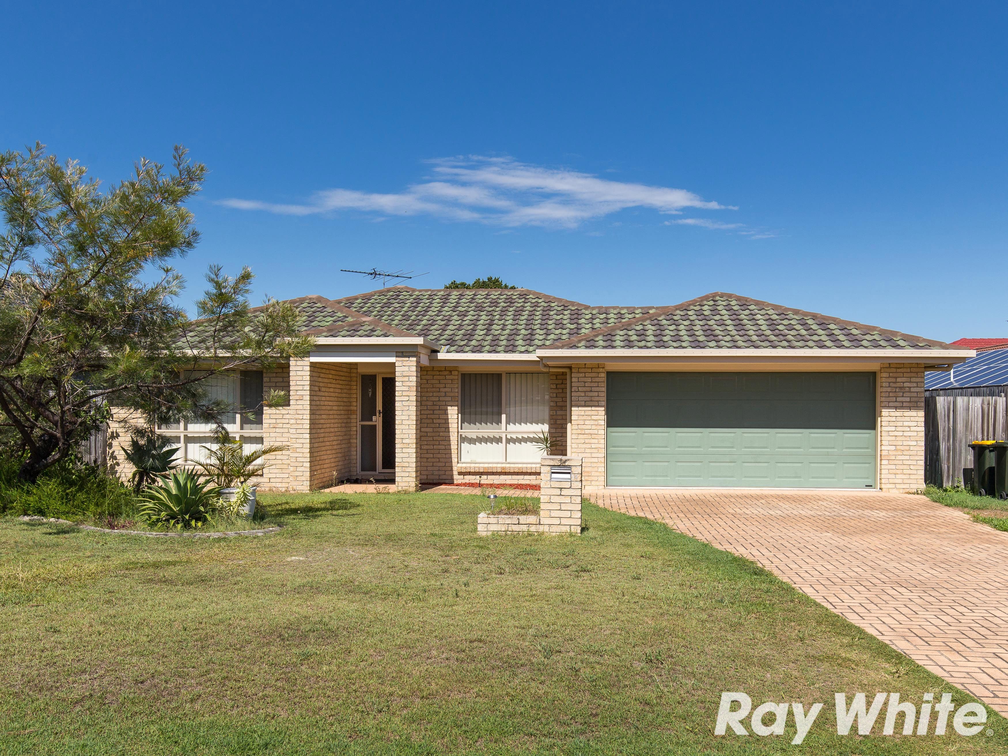 14 Toona Place, Calamvale QLD 4116, Calamvale - Image 1