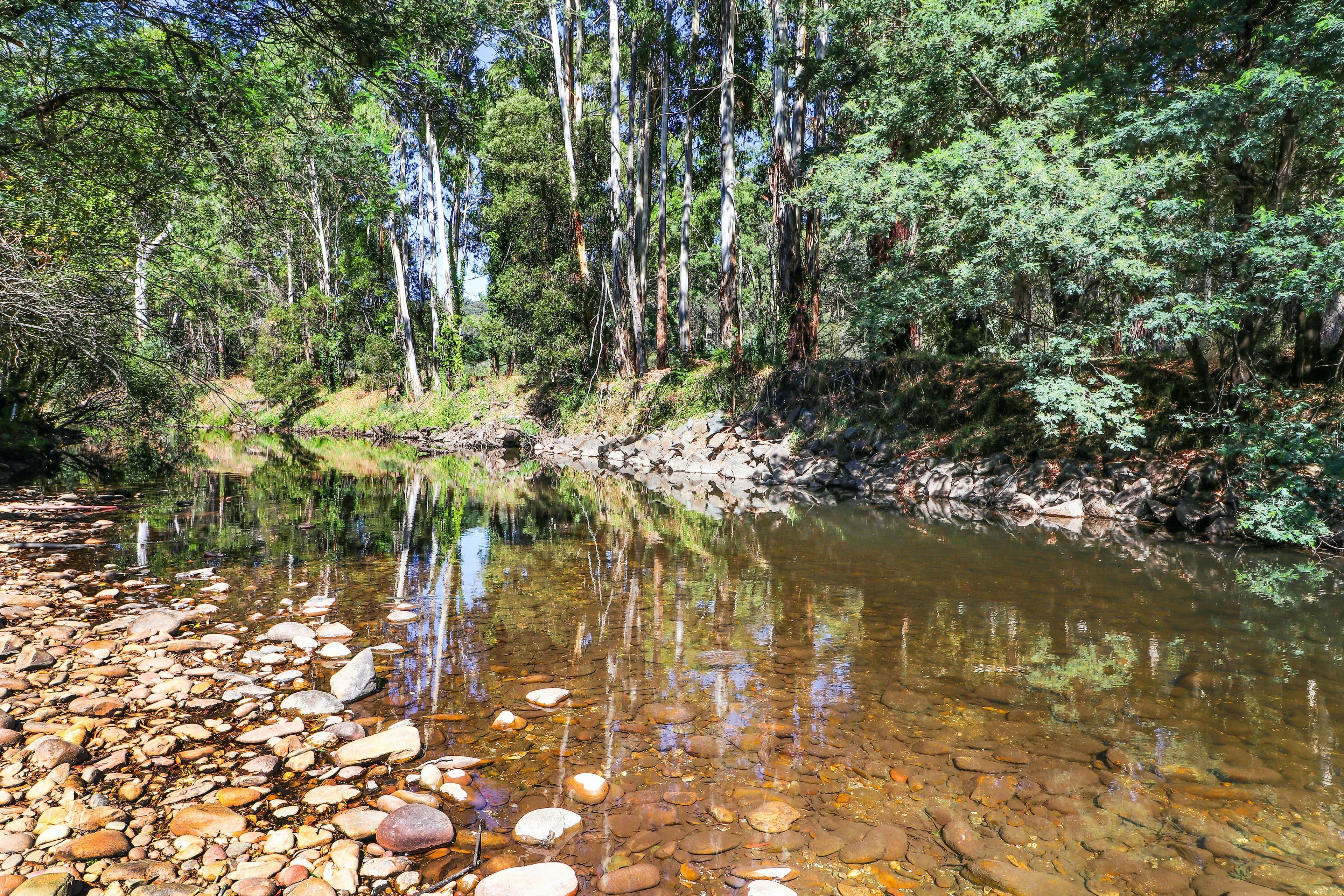 6 Bridge Street, Jamieson VIC 3723, Jamieson - Thumbnail 2