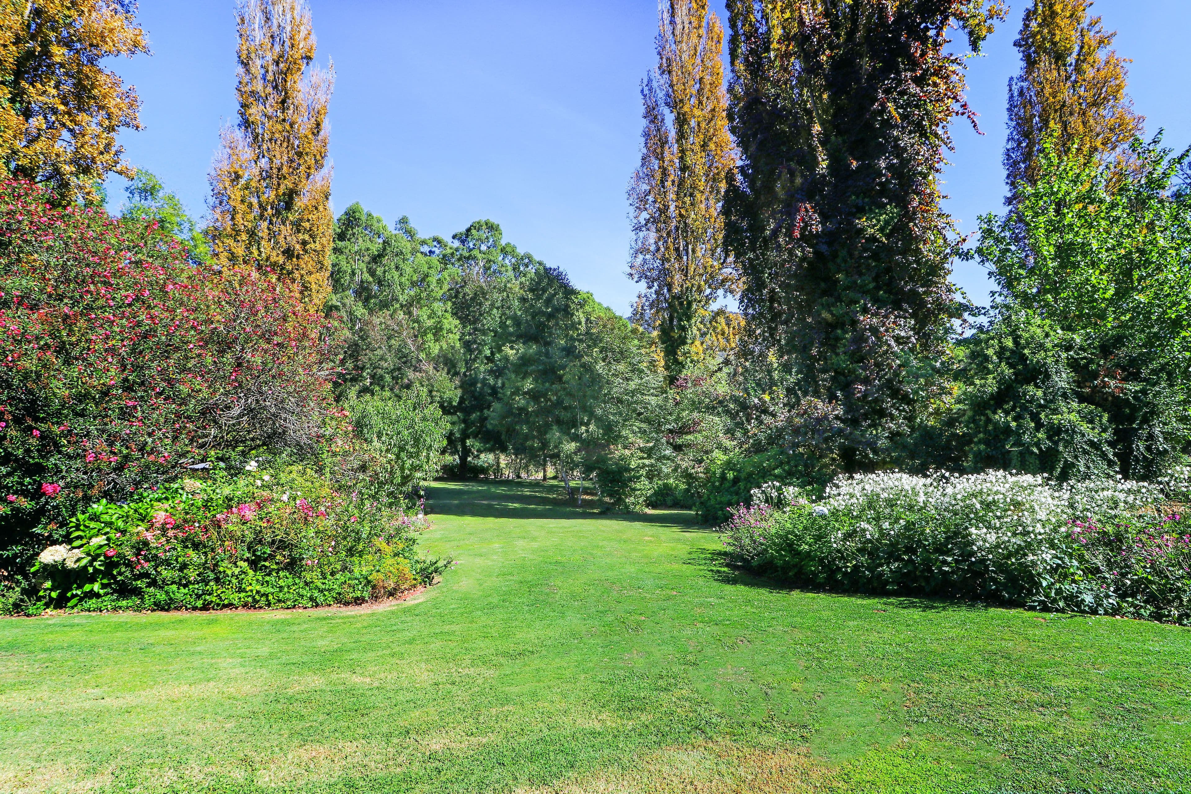 6 Bridge Street, Jamieson VIC 3723, Jamieson - Thumbnail 3