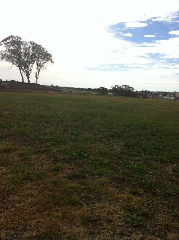 Lot 13 Westminster Street, DRAYTON QLD 4350, Drayton - Thumbnail 5