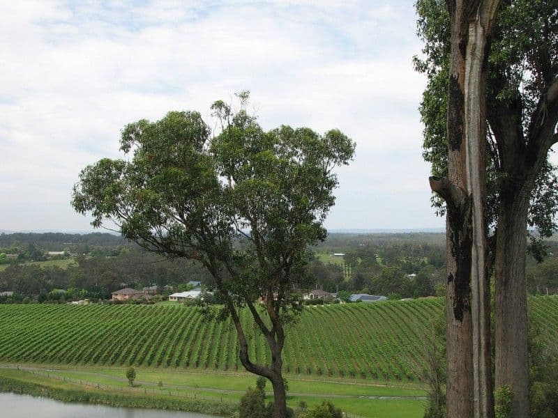 37 The Grange, PICTON NSW 2571, Picton - Thumbnail 5